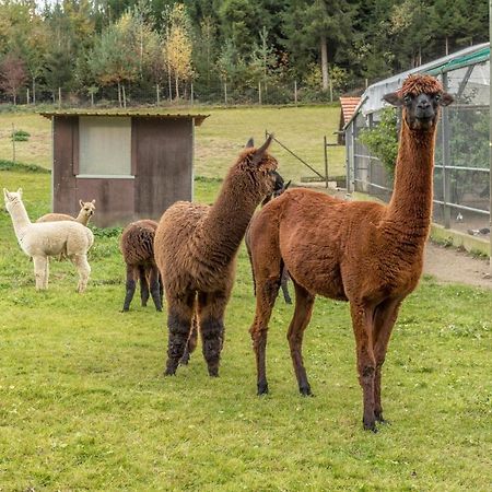 Апартаменты Zapfs Bauernhof Stiefmuetterchen Тетнанг Экстерьер фото