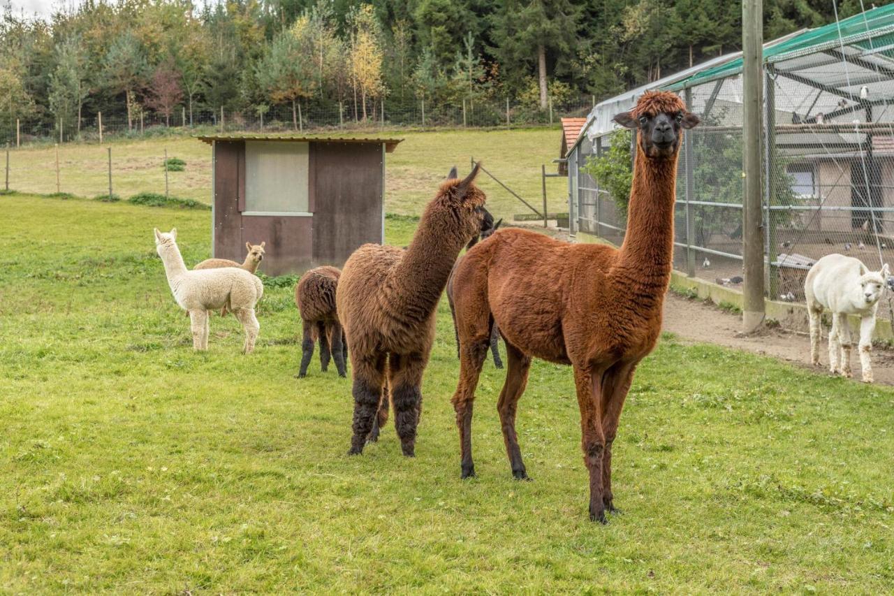 Апартаменты Zapfs Bauernhof Stiefmuetterchen Тетнанг Экстерьер фото